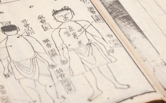 origini kinesiologia